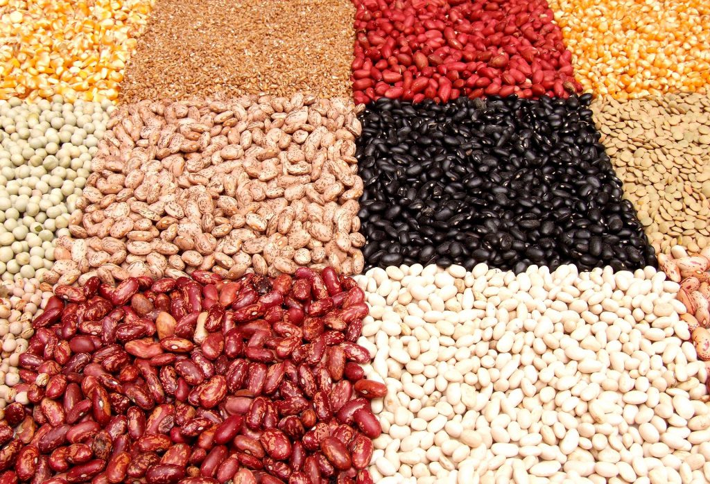 bean varieties