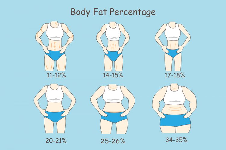body fat percentage examples