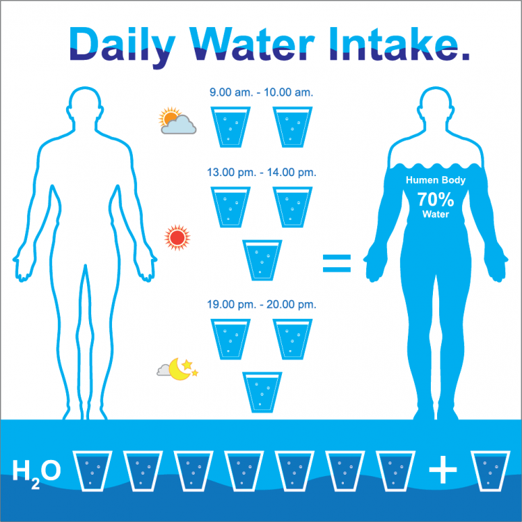 daily water intake